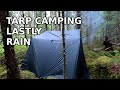 Walk into the forest, set up tarp and wait for the rain :-)