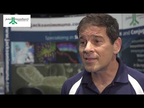 Jackson ImmunoResearch Anti-Camelid Secondary Antibodies - video from Jackson ImmunoResearch Laboratories