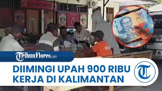 Calon Pekerja Ilegal asal Lembata Diimingi Upah Rp 900 Ribu, Gagal Berangkat ke Kalimantan Timur