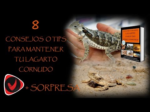 Video: Cómo diferenciar entre una serpiente rey y una serpiente coral: 9 pasos
