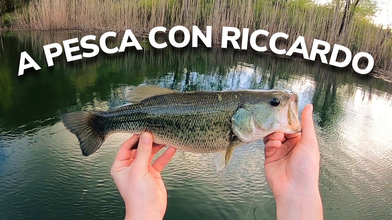 A pesca con Riccardo 🎣 #1 – Black Bass in Laghetto