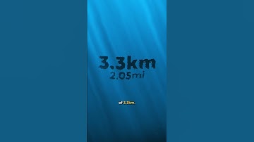 The $20 Trillion Transatlantic Tunnel