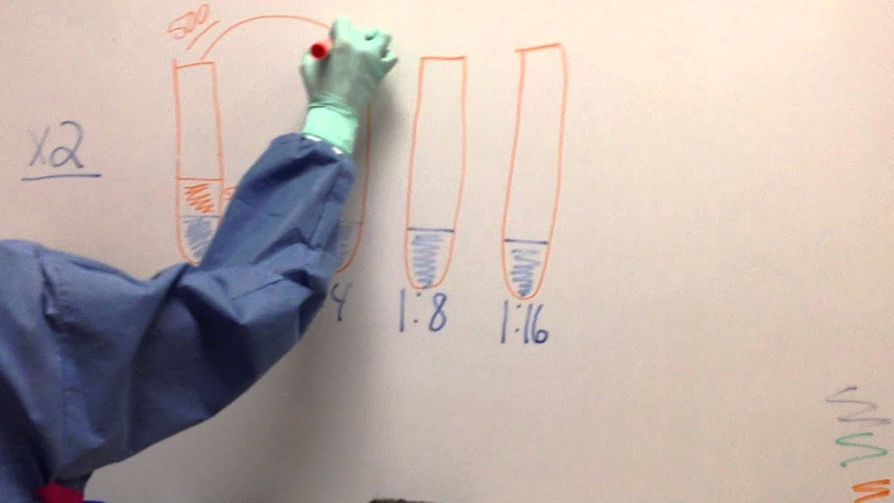 Serial Vs Parallel Dilution Method