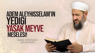 Adem Aleyhi̇sselamin Yedi̇ği̇ Yasak Meyve Meselesi̇ - İsmail Hünerlice Hocaefendi