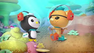 Octonautas Confusão Com As Baleias Episódio Inteiro 16 Primeira Temporada