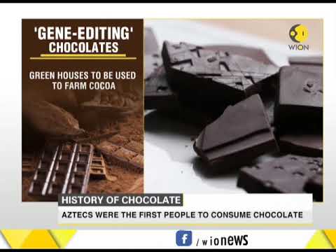 Can Gene Editing Save the earth’s Chocolate?