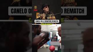Canelo Alvarez on if Terence Crawford Rematch #canelo #crawford #boxing