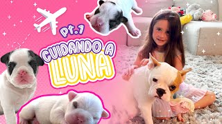 Fui mama de unos cachorros en mis vacaciones  Jugando con Saritah Bebe  PARTE 1