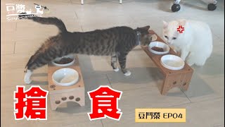 【SoybeanMilk vs. Junrong EP04】 There is a kind of rice called rice in other people’s bowls