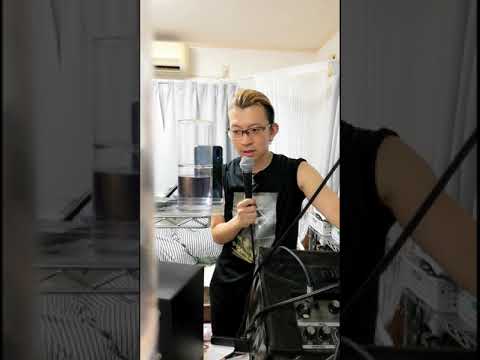 8月13日生まれの人を祝います♪篠原涼子さん誕『恋しさとせつなさと心強さと』