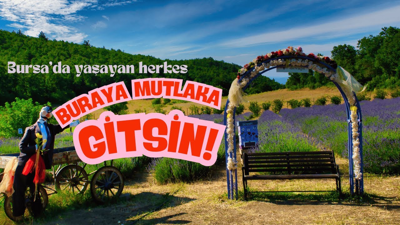 Bursa Merkeze 25 Dk Mesafede - Devapi Lavanta Bahçesi