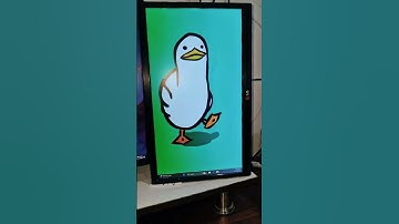 What I Learned from Spending 30 Days Building My DREAM PC Setup