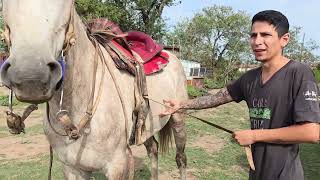 ✅️ ‼️HOY TRABAJAMOS CON EL CABALLO DE LA PRUEBAS DE RIENDAS// "EL INDIO"⚠️🔥