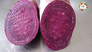 Apresentação de duas cultivares de batata-doce de polpa roxa
