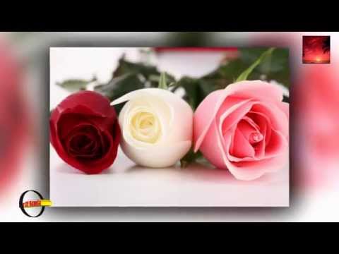 Alla Pugacheva -  Million Roses