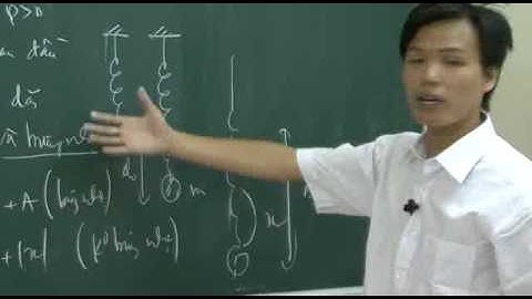 Bài 11  Con lắc lò xo và các dạng toán trọng tâm