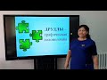 Накенова Д.М.  - Друдлы как способ развития вооб. и твор. способностей у детей дошкольного возраста.