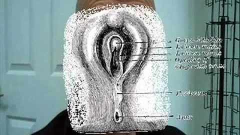 HUGH MOONEY endorses Faeces Shit Brain pp. 33-34 '...