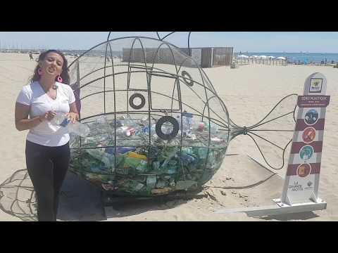 Vidéo: Pollution Plastique Sur La Plage D'Hawaï Et Que Faire Pour La Changer