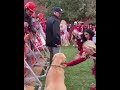 A day in the life of a dog 😂
