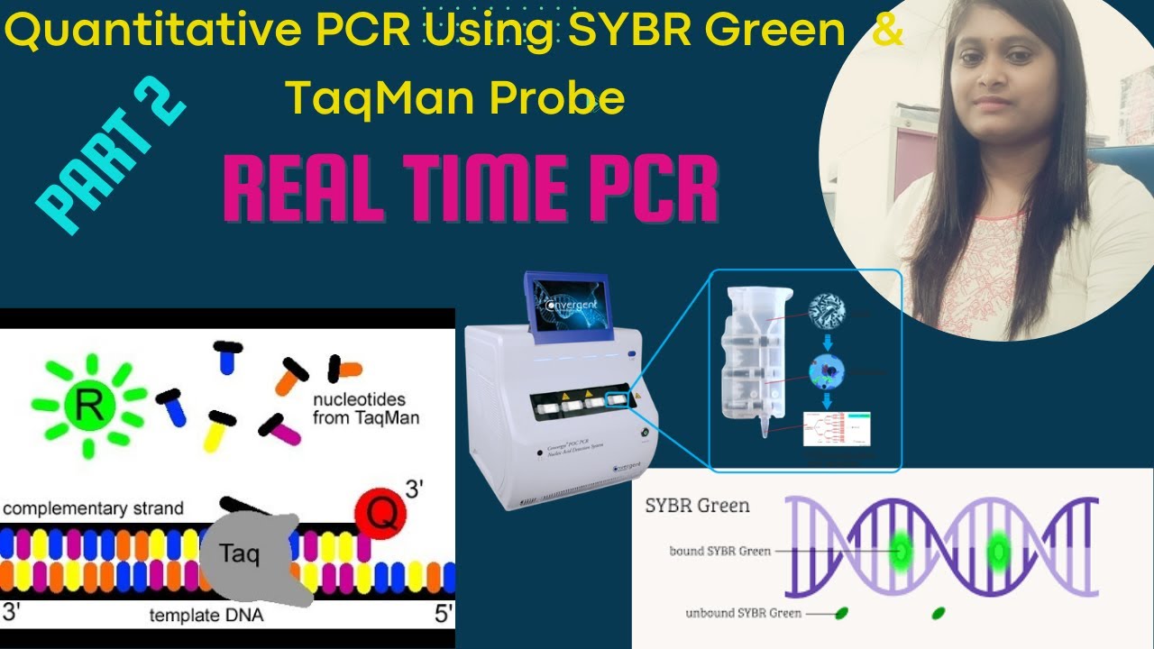Quantitative PCR Using SYBR Green Dye & TaqMan Probe | Part-2| Real ...