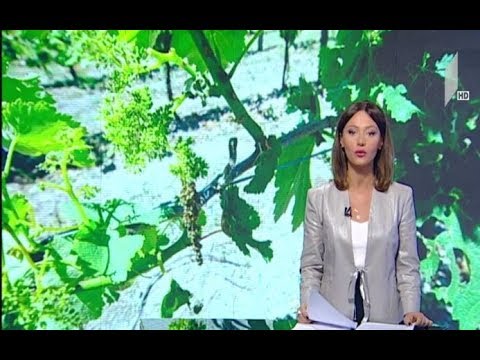 აგროდაზღვევის პროექტი