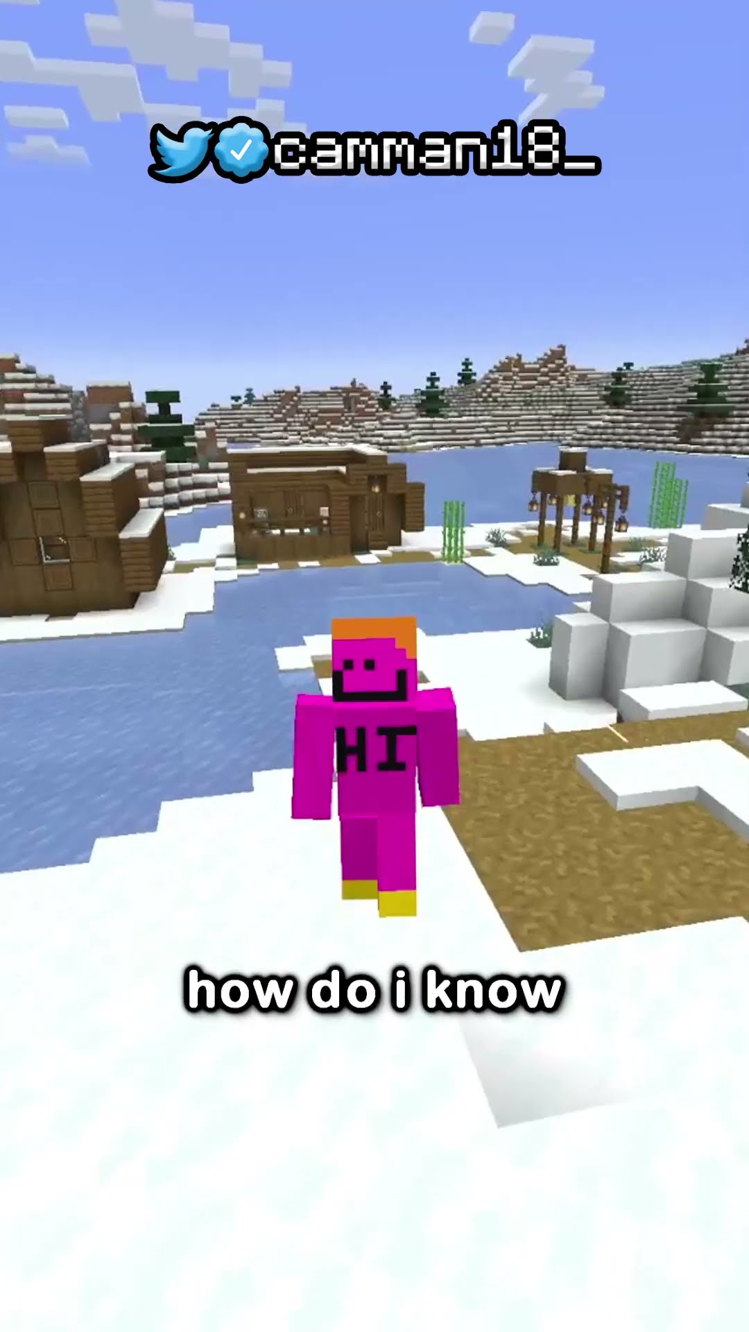 The Rarest House In Minecraft