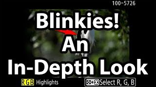 Unlock The Power Blinkies To Improve Your Photography