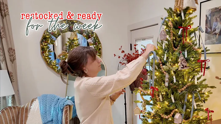 Sunday Grocery Day | VLOGMAS Day #7