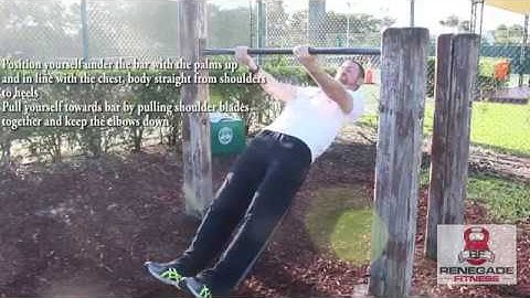 Reverse Grip Inverted Row