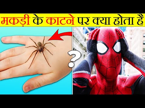 मकड़ी के काटने पर क्या होता है? | what if spider bites? | Most Amazing Facts | Random Facts | FE#109