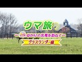 「ウマ旅」グラスワンダー編 プロモーション映像