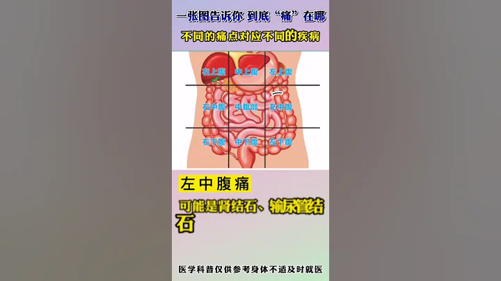 一張圖告訴你，肚子痛，到底痛在哪裡A picture tells you where the stomach hurts. - 天天要聞