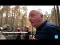Fire reignites in Fontainebleau forest as investigation continues • FRANCE 24 English