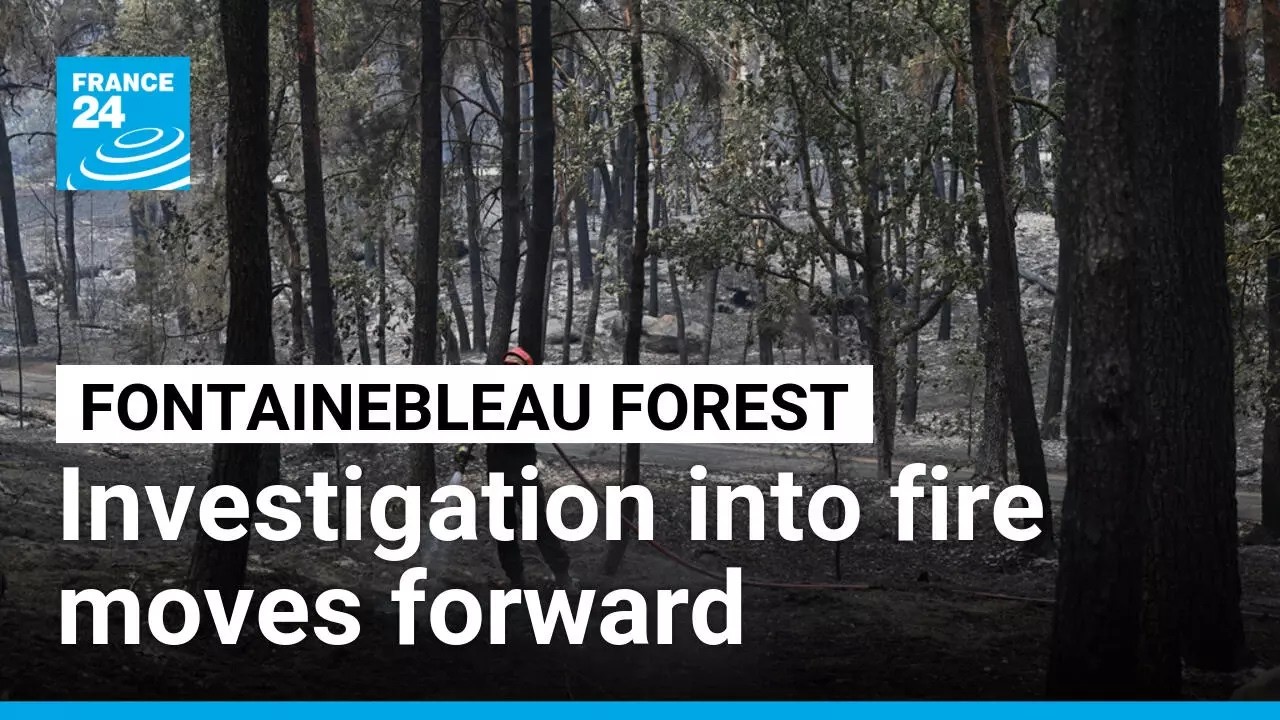 Fire reignites in Fontainebleau forest as investigation continues • FRANCE 24 English