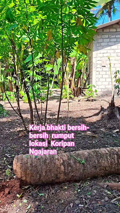 KORIPAN NGAJARAN #SHORTS