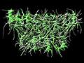 Infected Guts - Cerebral Vomiting