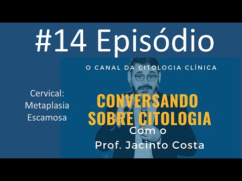 Vídeo: Onde se encontra o cromocentro?