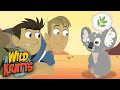 Wild Kratts 🐨 Facts On Australian KOALAS! | Kids Videos