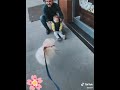اغنية يبحث عنها الجميع ساكن مايروم