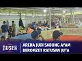 Gerebek arena judi sambung ayam di banjarmasin  80 orang ditangkap  buser