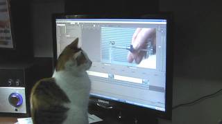 Extreme accuracy balancer with cat