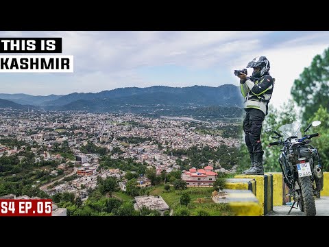 Video: Cemara Kashmir