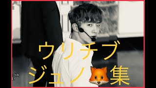 우리집 준호 ウリチブジュノMy House 詰め合わせ　JUNHO 2PM fancam solo