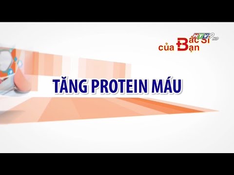 Video: Protein Huyết Tương Dư Thừa Trong Máu (tăng độ Nhớt) ở Mèo