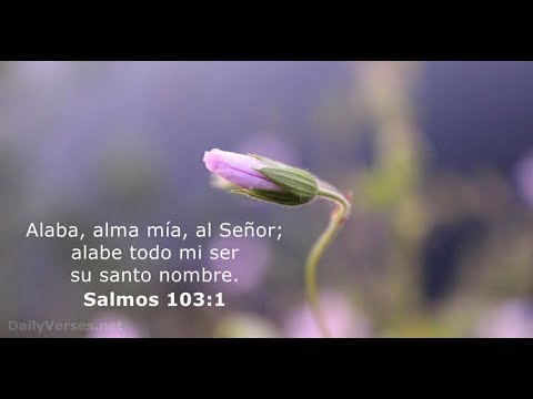 Que todo lo que soy alabe al Señor que nunca olvide todas las cosas buenas  que haces por mi. Sal 103.2