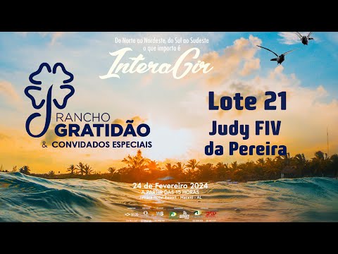 Lote 21   Judy FIV da Pereira   JJPZ 323