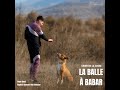 La balle  babar