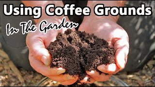 Before You Even Think About Using Coffee Grounds In Your Garden Watch This!