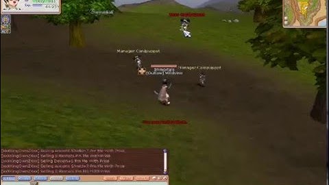 FLYFF (GLAPHAN SERVER)